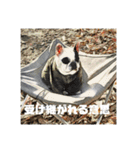 てんつくの日常3（個別スタンプ：24）