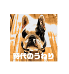 てんつくの日常3（個別スタンプ：25）