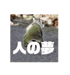てんつくの日常3（個別スタンプ：26）