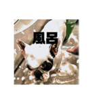 てんつくの日常3（個別スタンプ：28）