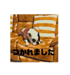 てんつくの日常3（個別スタンプ：32）