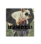 てんつくの日常3（個別スタンプ：35）