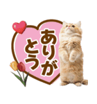 春花とねこ♡（個別スタンプ：1）