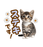 春花とねこ♡（個別スタンプ：6）