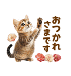 春花とねこ♡（個別スタンプ：8）
