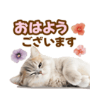春花とねこ♡（個別スタンプ：9）