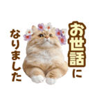 春花とねこ♡（個別スタンプ：13）