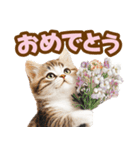 春花とねこ♡（個別スタンプ：16）