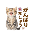 春花とねこ♡（個別スタンプ：17）
