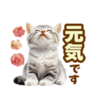 春花とねこ♡（個別スタンプ：20）