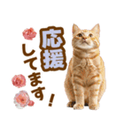 春花とねこ♡（個別スタンプ：23）