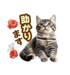 春花とねこ♡（個別スタンプ：31）
