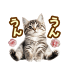春花とねこ♡（個別スタンプ：33）