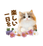 春花とねこ♡（個別スタンプ：34）