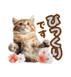 春花とねこ♡（個別スタンプ：36）