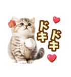 春花とねこ♡（個別スタンプ：37）