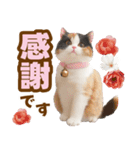 春花とねこ♡（個別スタンプ：38）