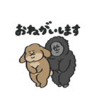 ホーランドロップのともだちwith Gorilla（個別スタンプ：20）