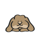 ホーランドロップのともだちwith Gorilla（個別スタンプ：28）