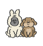 ホーランドロップのともだちwith Gorilla（個別スタンプ：31）