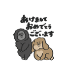 ホーランドロップのともだちwith Gorilla（個別スタンプ：40）