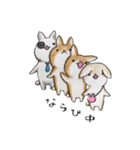 むぎときなこ6（個別スタンプ：10）