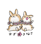 むぎときなこ6（個別スタンプ：24）