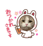 猫、うさぎスタンプ使ってって！（個別スタンプ：14）