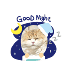 猫、うさぎスタンプ使ってって！（個別スタンプ：15）