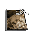 猫、うさぎスタンプ使ってって！（個別スタンプ：16）