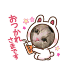 猫、うさぎスタンプ使ってって！（個別スタンプ：21）