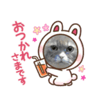 猫、うさぎスタンプ使ってって！（個別スタンプ：23）