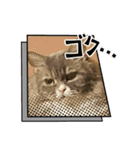 猫、うさぎスタンプ使ってって！（個別スタンプ：24）