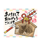 猫、うさぎスタンプ使ってって！（個別スタンプ：25）