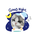 猫、うさぎスタンプ使ってって！（個別スタンプ：28）