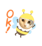 猫、うさぎスタンプ使ってって！（個別スタンプ：34）