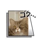 猫、うさぎスタンプ使ってって！（個別スタンプ：38）