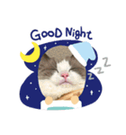 猫、うさぎスタンプ使ってって！（個別スタンプ：39）
