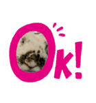 猫、うさぎスタンプ使ってって！（個別スタンプ：40）