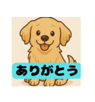 ゴールデンレトリバーのゆるかわスタンプ（個別スタンプ：3）