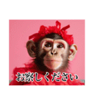 架空のメス猿ちゃん【関西弁】（個別スタンプ：11）