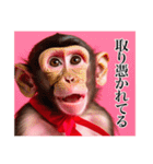 架空のメス猿ちゃん【関西弁】（個別スタンプ：37）