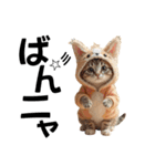 猫＆犬:着ぐるみ（個別スタンプ：3）
