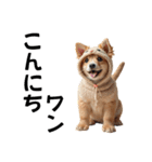 猫＆犬:着ぐるみ（個別スタンプ：14）