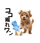 猫＆犬:着ぐるみ（個別スタンプ：16）