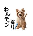 猫＆犬:着ぐるみ（個別スタンプ：18）