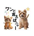猫＆犬:着ぐるみ（個別スタンプ：19）