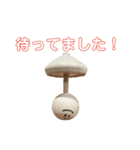 ムジカノオト（個別スタンプ：10）