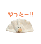 ムジカノオト（個別スタンプ：12）