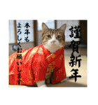 春夏秋冬猫（個別スタンプ：1）